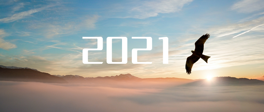 乘“峰”而上，智“盈”未来 ——2021年东升国际官网环境高级资深副总裁新年开工动员